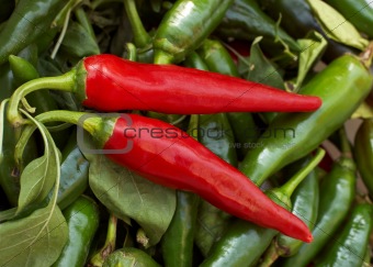 Two red cayenne peppers lying on green pods and leaves