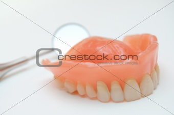 Maxillary dentition