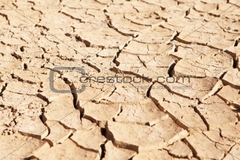 Dried up and cracked mud in dry waterhole