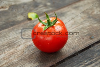  Fresh tomatoes