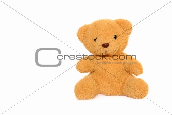 Classic teddybear isolated on white background