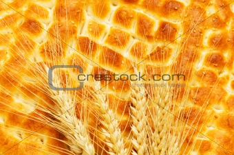 Nutrition concept with fresh bread and wheat ears
