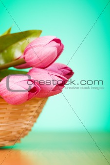 Bunch of tulip flowers on the table