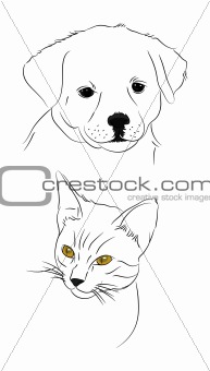 doodle dog and cat