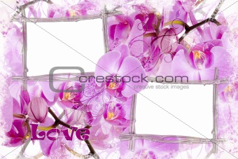 romantic background with orchids and bamboo frames