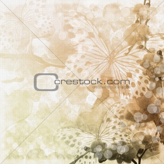 Butterflies and orchids flowers beige background ( 1 of set)