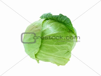 head of cabbage isolated on white background