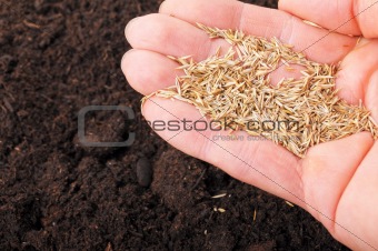 sowing hand