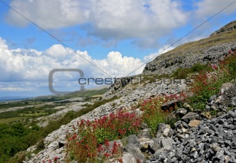 Karst-landscape region Burren