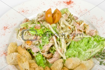 salad of meat, vegetable and dried crust