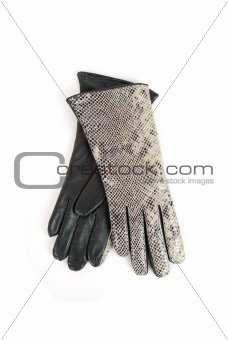leather reptile gloves