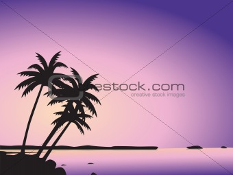 Tropical palm trees and sea