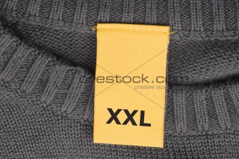 xxl fashion with copyspace