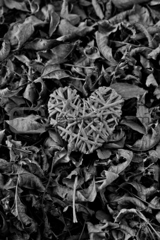 heart in dead leaves