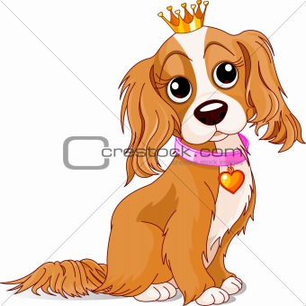 Royalty dog