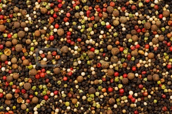 Close up selection of various pepper types