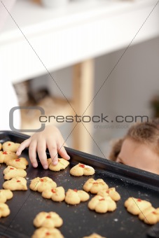 Close up of a little girl taking a cookie in the kitchen