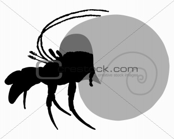 Hermit crab silhouette