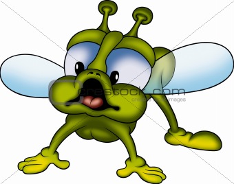 Green little fly