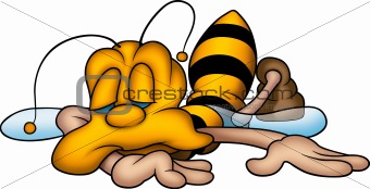Sleeping sweet wasp