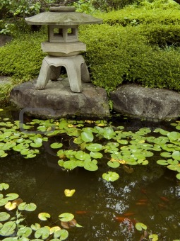 zen garden&pond