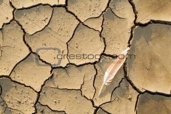 Dry soil with raindrop craters