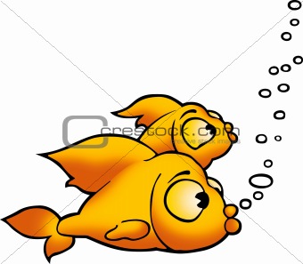 Two golden fish