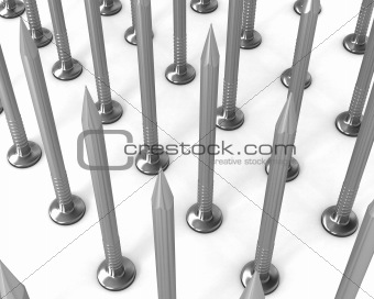 Rows of steel nails isolated on white