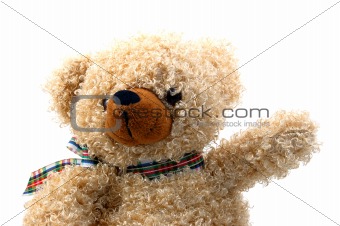 teddy bear isolated on white background