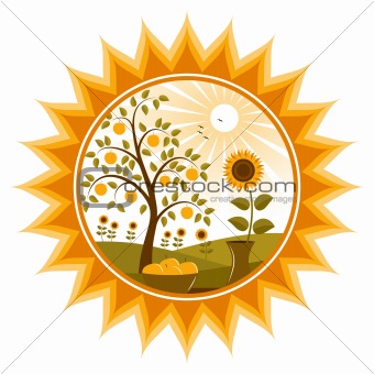 apple tree and sunflowers in sun