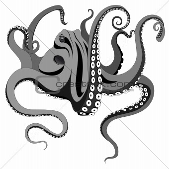 Vector octopus