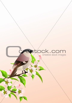 Background with sparrow