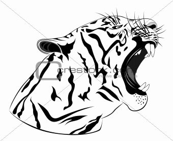 Tiger, tattoo