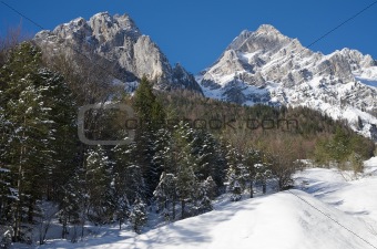 Mountains with snow, forest in the middle