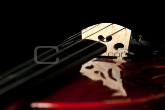 fragment of violin with weird reflection
