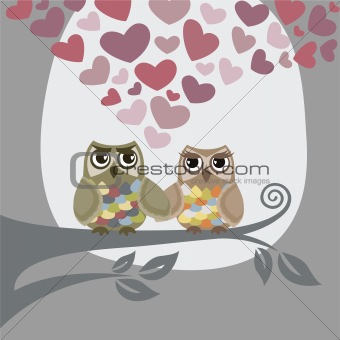 Love is in the air for two owls