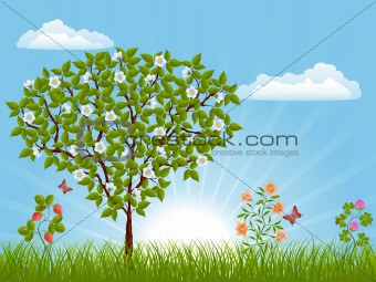 Nature landscape with a tree