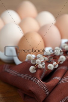 Brown chicken eggs and catkins