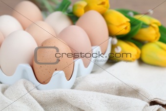 Brown chicken eggs and tulips