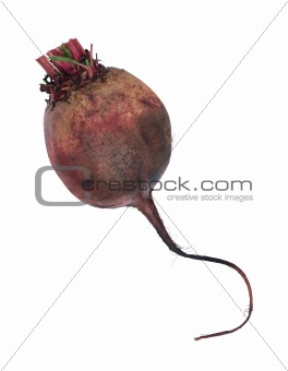 Beet, Beetroot, Table Beet isolated on white