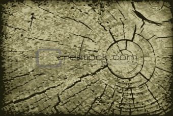 Realistic vector end of old log - background