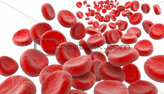 Blood cells. Isolated on white