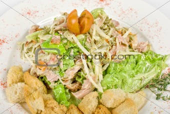 salad of meat, vegetable and dried crust