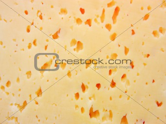 piece of cheese 