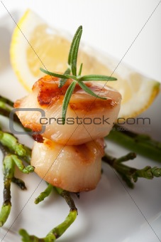 closeup of two grilled scallops 