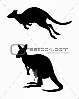 Detailed and isolated illustration of kangaroo jumping