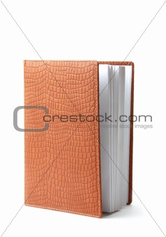 Leather diary book