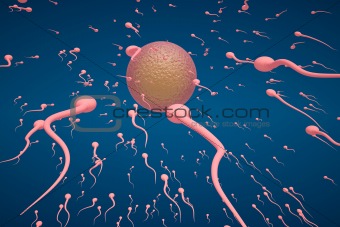Lots of sperm cells going toward an egg