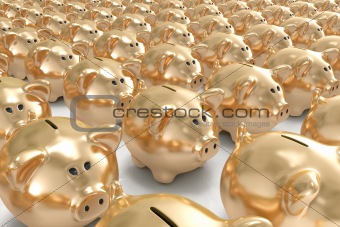 Many golden piggy banks