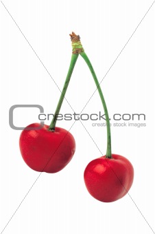 fresh juicy cherry fruit isolated on white